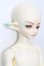 画像3: LUTS/KDF Bory Unicorn Human Ver-Moonlit song Limited S-26-07-26-254-TO-ZS (3)