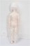 画像5: RINGDOLL/1/6 周瑜(Zhou Yu) S-26-07-26-255-TO-ZS (5)