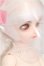 画像3: RINGDOLL/1/6 孫策 S-26-08-02-102-TO-ZS (3)