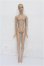 画像4: tonner/Tonner Tyler RTW Ready To Wear Luxury blonde Cherished Friends Exclusive NRFB S-26-07-26-261-TO-ZS (4)