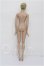 画像5: tonner/Tonner Tyler RTW Ready To Wear Luxury blonde Cherished Friends Exclusive NRFB S-26-07-26-261-TO-ZS (5)