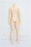 画像2: azone/ピュアニーモフレクションL　男の子 S-26-08-02-275-TO-ZS (2)