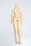 画像1: azone/1／12 ピコニーモM 女の子 LLバスト S-26-08-02-282-TO-ZS (1)