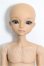 画像1: elfinstore/ノアS S-26-08-02-252-YB-ZS (1)
