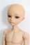 画像2: elfinstore/ノアS S-26-08-02-252-YB-ZS (2)