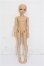 画像4: elfinstore/ノアS S-26-08-02-252-YB-ZS (4)