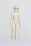 画像4: elfinstore/ノアS S-26-08-02-253-YB-ZS (4)