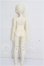 画像5: elfinstore/ノアS S-26-08-02-253-YB-ZS (5)