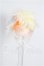 画像1: 3inch/ウィッグ S-26-08-02-266-YB-ZS (1)