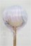 画像1: 8-9inch/ウィッグ S-26-08-16-247-YB-ZS (1)