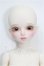 画像1: myoudoll/1/4snow delia S-26-08-02-151-TO-ZS (1)