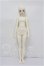 画像4: myoudoll/1/4snow delia S-26-08-02-151-TO-ZS (4)