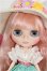 画像1: ネオブライス/スプリングホープ S-26-08-02-162-TO-ZS (1)
