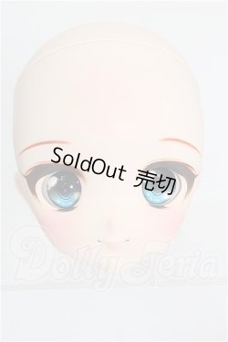 画像1: DDH-22/カスタムヘッド S-26-08-09-305-TO-ZS