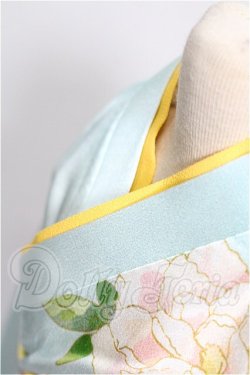 画像4: DD/OF 振袖セット(薄浅葱) S-26-08-16-146-TO-ZS