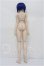 画像7: DD/シエル　月姫 -A piece of blue glass moon- S-26-08-16-102-TO-ZS (7)
