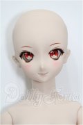 DD/DC-H-14：ドリームチョイス S-26-08-16-104-TO-ZS