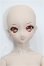画像1: DD/DC-H-14：ドリームチョイス S-26-08-16-104-TO-ZS (1)