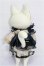 画像5: Dear mine/picasso bean bitter S-26-08-16-256-TO-ZS (5)