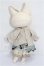 画像5: DEARMINE/Picasso Bean Rose　Skin+衣装 S-26-08-16-254-TO-ZS (5)