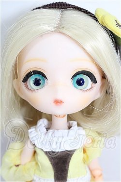 画像1: ハルモニアブルーム　Harmonia bloom/パンジー S-26-08-16-307-TO-ZS