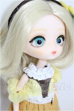 画像3: ハルモニアブルーム　Harmonia bloom/パンジー S-26-08-16-307-TO-ZS
