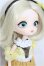 画像3: ハルモニアブルーム　Harmonia bloom/パンジー S-26-08-16-307-TO-ZS (3)