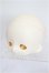 画像2: SWDOLL/1/6 豆?(トウガオ) S-26-08-16-312-TO-ZS (2)