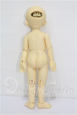 画像7: 幼SD/蓮華丸 S-26-08-16-303-TO-ZS