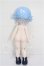 画像3: ボニーバニー6/兎の夢匣:ランシー S-26-08-23-139-TO-ZS (3)