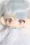 画像1: 大きな子犬わたあめ S-26-08-23-255-TO-ZS (1)