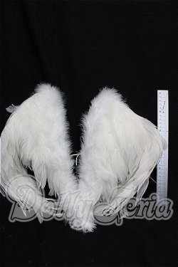 画像2: SD/羽 S-26-08-23-252-TO-ZS