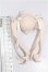 画像2: sugary girls/パーツ＆小物 S-26-08-30-293-TO-ZS (2)