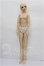 画像4: RINGDOLL/March Hare(三月ウサギ) S-26-08-30-104-TO-ZS (4)