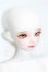 画像4: LUTS/KDF KAI R. limited Muse Body S-26-09-06-155-TO-ZS (4)