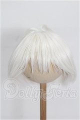 8-9inch/ウィッグ S-26-10-11-348-TO-ZS
