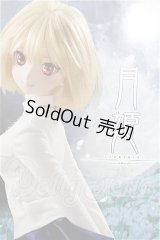 DD/月姫:アルクェイド・ブリュンスタッド S-26-09-06-304-TO-ZS