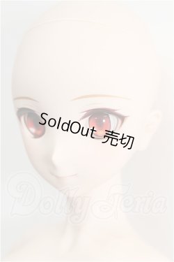 画像4: DD/月姫:アルクェイド・ブリュンスタッド S-26-09-06-304-TO-ZS