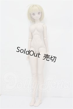 画像6: DD/月姫:アルクェイド・ブリュンスタッド S-26-09-06-304-TO-ZS