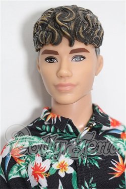 画像1: バービー/ファッショニスタ Ken S-26-09-13-221-TO-ZS