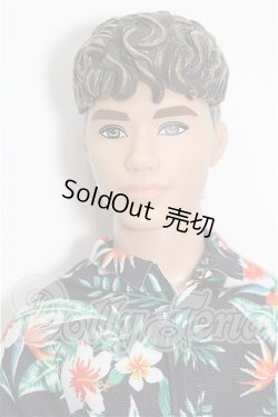画像1: バービー/ファッショニスタ Ken S-26-09-13-221-TO-ZS