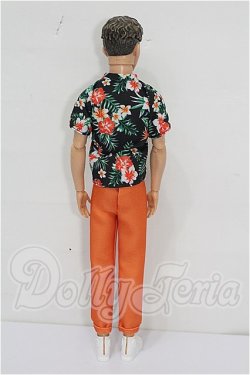 画像3: バービー/ファッショニスタ Ken S-26-09-13-221-TO-ZS