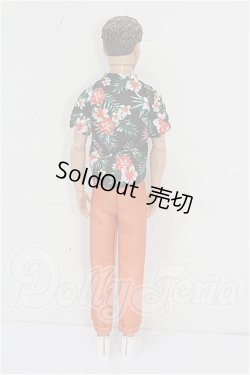 画像3: バービー/ファッショニスタ Ken S-26-09-13-221-TO-ZS