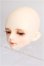 画像2: LUTS/Kid 45 Delf MUSE KAIヘッド S-26-09-13-105-YB-ZS (2)