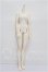 画像1: Gem of Doll/1/4女の子ボディ S-26-09-13-103-YB-ZS (1)