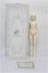 画像4: Gem of Doll/Wall S-26-09-20-103-TO-ZS (4)