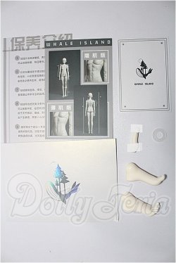 画像3: Coral Reef Doll/1/4 BOY Body S-26-09-20-274-TO-ZS