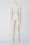 画像2: Coral Reef Doll/1/4 BOY Body S-26-09-20-273-TO-ZS (2)