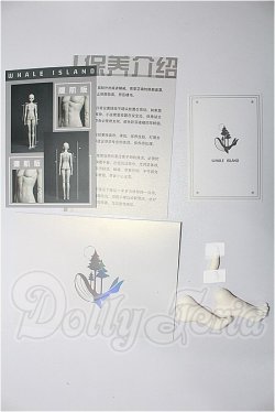 画像3: Coral Reef Doll/1/4 BOY Body S-26-09-20-273-TO-ZS