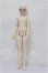 画像4: Asleep Eidolon1/4/DingDang Ver.2 S-26-09-20-301-TO-ZS (4)